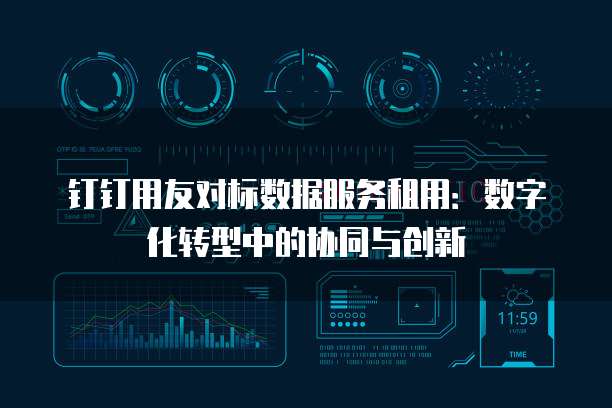 钉钉用友对标数据服务租用：数字化转型中的协同与创新
