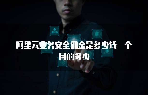阿里云业务安全佣金是多少钱一个月的多少