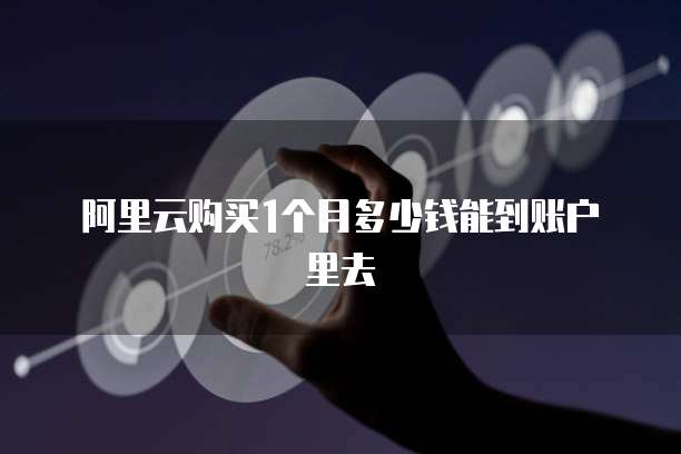 阿里云购买1个月多少钱能到账户里去