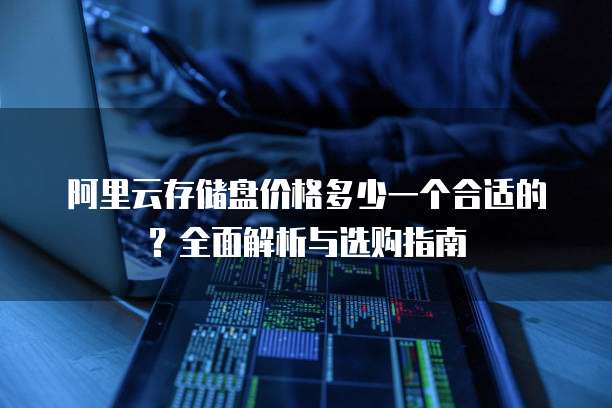阿里云存储盘价格多少一个合适的?全面解析与选购指南
