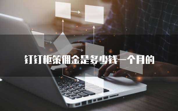 钉钉枢策佣金是多少钱一个月的