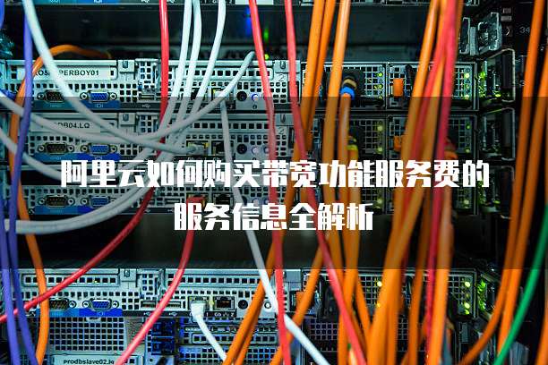 阿里云如何购买带宽功能服务费的服务信息全解析
