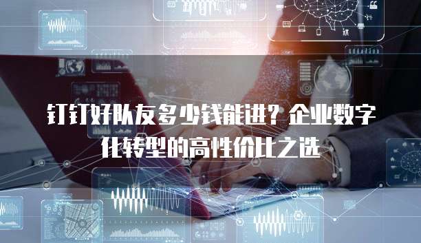 钉钉好队友多少钱能进?企业数字化转型的高性价比之选