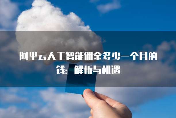阿里云人工智能佣金多少一个月的钱:解析与机遇