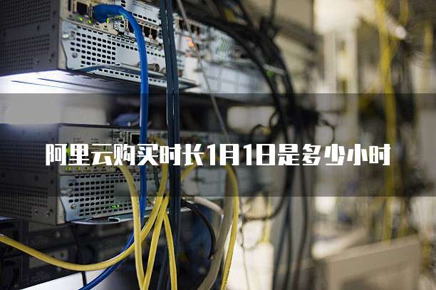 阿里云购买时长1月1日是多少小时