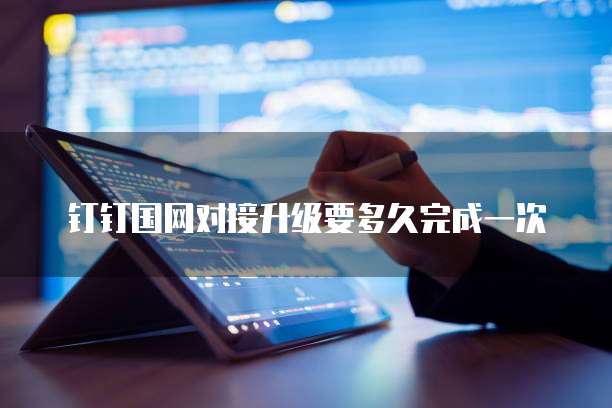 钉钉国网对接升级要多久完成一次