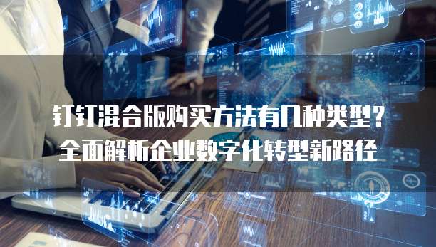 钉钉混合版购买方法有几种类型?全面解析企业数字化转型新路径