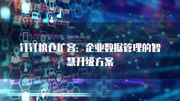 钉钉粮仓扩容：企业数据管理的智慧升级方案