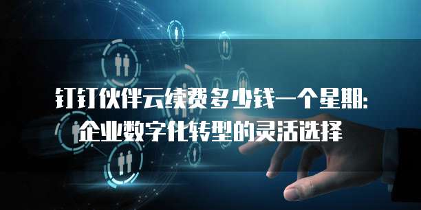 钉钉伙伴云续费多少钱一个星期:企业数字化转型的灵活选择