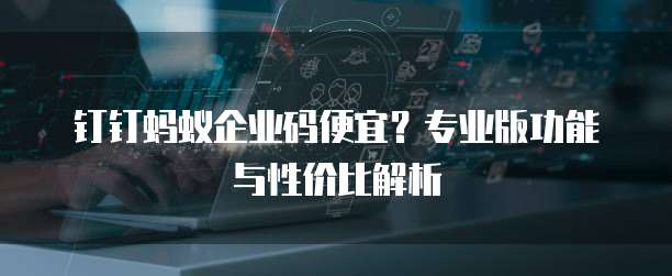 钉钉蚂蚁企业码便宜？专业版功能与性价比解析