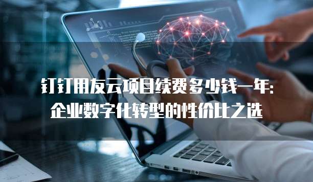 钉钉用友云项目续费多少钱一年：企业数字化转型的性价比之选