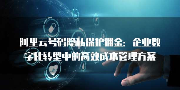 阿里云号码隐私保护佣金:企业数字化转型中的高效成本管理方案