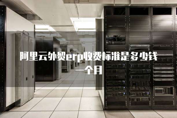 阿里云外贸erp收费标准是多少钱一个月