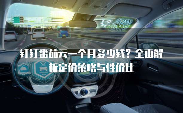 钉钉番茄云一个月多少钱?全面解析定价策略与性价比