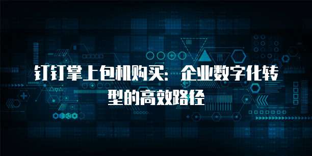 钉钉掌上包机购买:企业数字化转型的高效路径