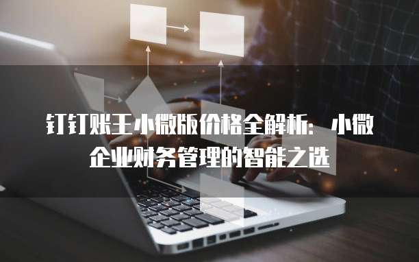 钉钉账王小微版价格全解析:小微企业财务管理的智能之选