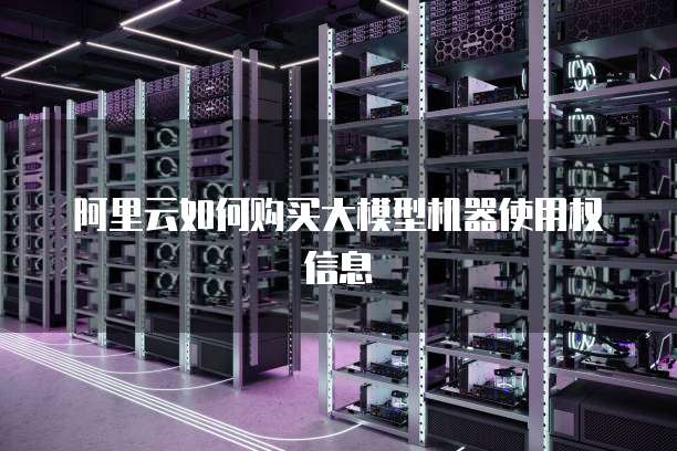 阿里云如何购买大模型机器使用权信息