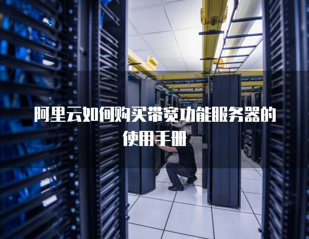 阿里云如何购买带宽功能服务器的使用手册