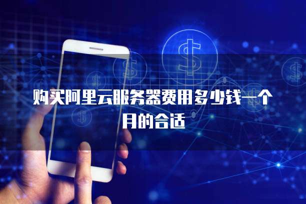 购买阿里云服务器费用多少钱一个月的合适
