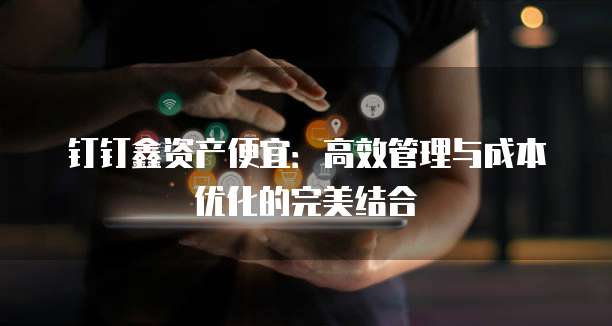 钉钉鑫资产便宜:高效管理与成本优化的完美结合