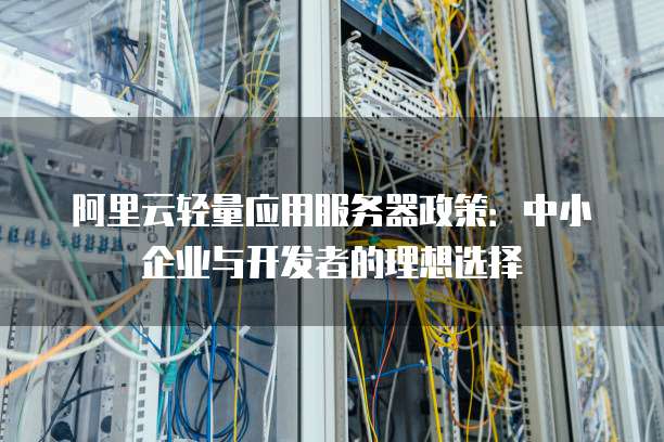 阿里云轻量应用服务器政策:中小企业与开发者的理想选择