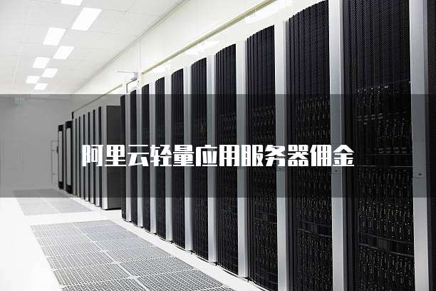 阿里云轻量应用服务器佣金