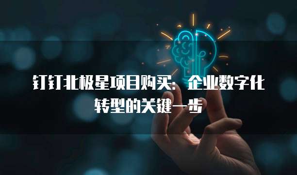 钉钉北极星项目购买:企业数字化转型的关键一步