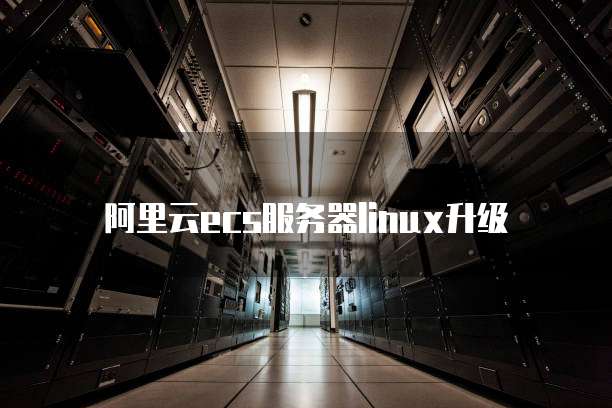 阿里云ecs服务器linux升级
