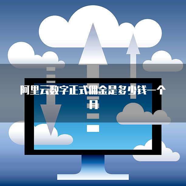 阿里云数字正式佣金是多少钱一个月