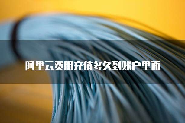 阿里云费用充值多久到账户里面