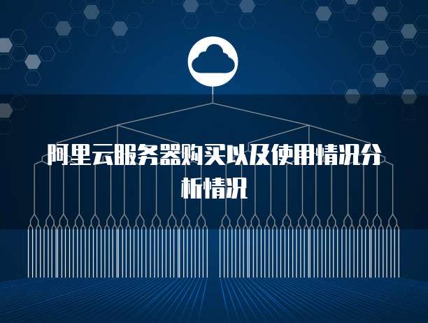 阿里云服务器购买以及使用情况分析情况