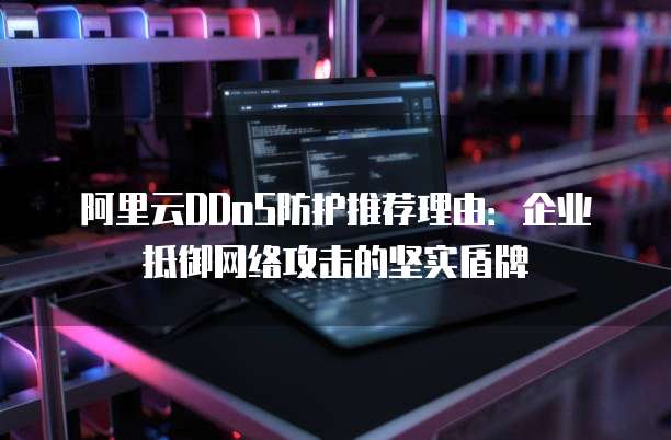 阿里云DDoS防护推荐理由：企业抵御网络攻击的坚实盾牌