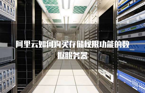 阿里云如何购买存储权限功能的数据服务器