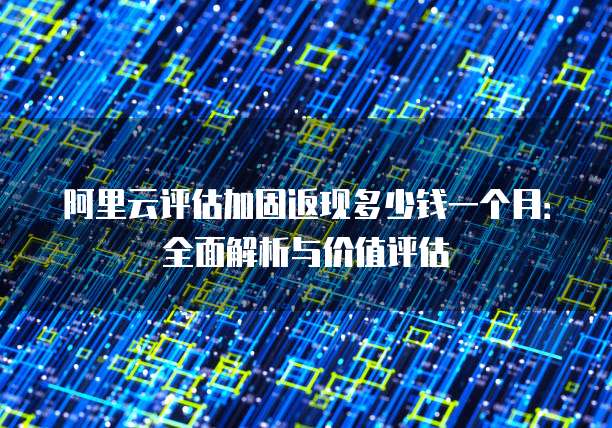 阿里云评估加固返现多少钱一个月:全面解析与价值评估
