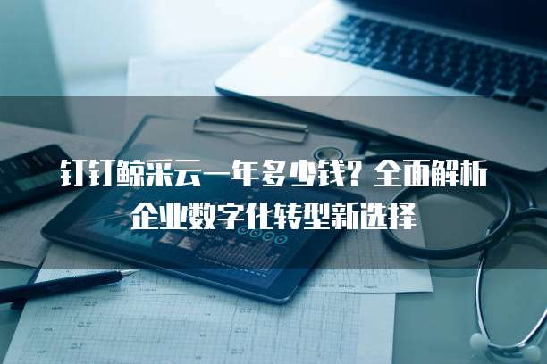 钉钉鲸采云一年多少钱?全面解析企业数字化转型新选择