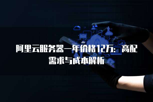 阿里云服务器一年价格12万:高配需求与成本解析