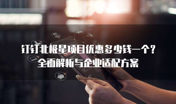 钉钉北极星项目优惠多少钱一个?全面解析与企业适配方案