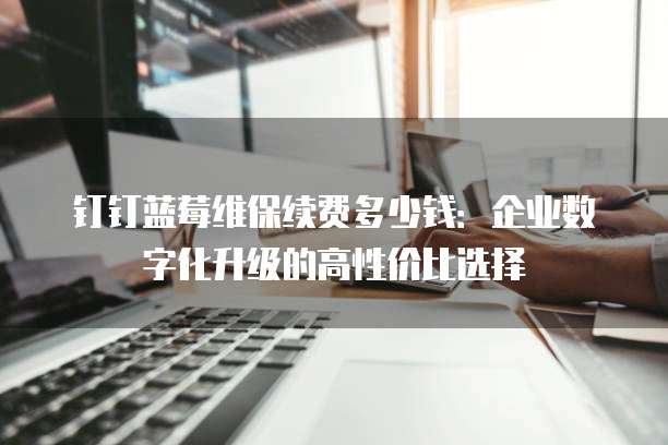 钉钉蓝莓维保续费多少钱:企业数字化升级的高性价比选择
