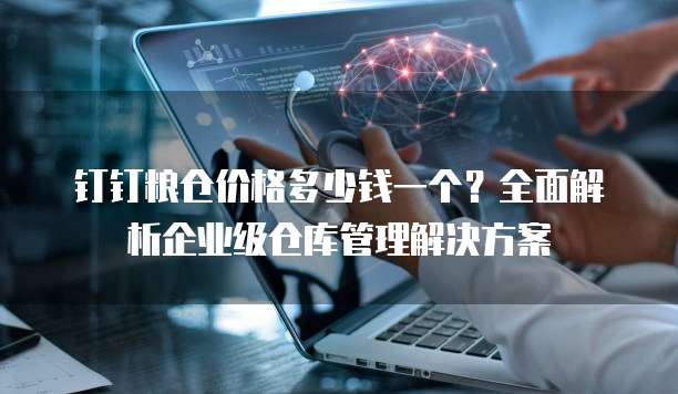 钉钉粮仓价格多少钱一个?全面解析企业级仓库管理解决方案