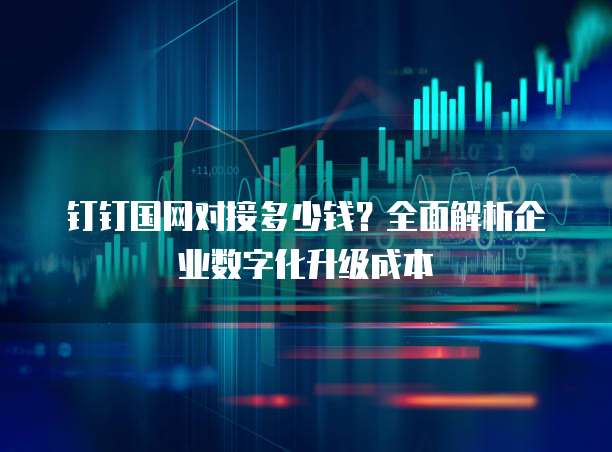 钉钉国网对接多少钱?全面解析企业数字化升级成本