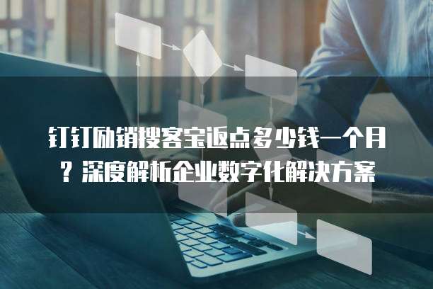 钉钉励销搜客宝返点多少钱一个月?深度解析企业数字化解决方案