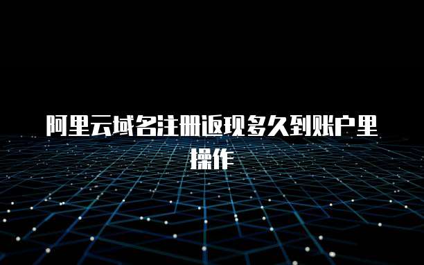 阿里云域名注册返现多久到账户里操作