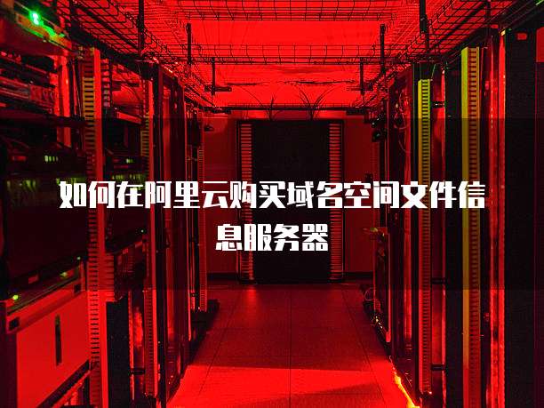如何在阿里云购买域名空间文件信息服务器
