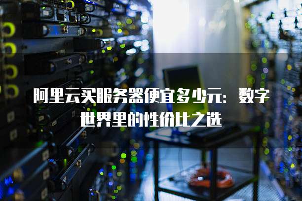 阿里云买服务器便宜多少元:数字世界里的性价比之选