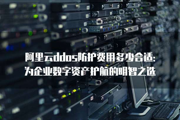 阿里云ddos防护费用多少合适：为企业数字资产护航的明智之选