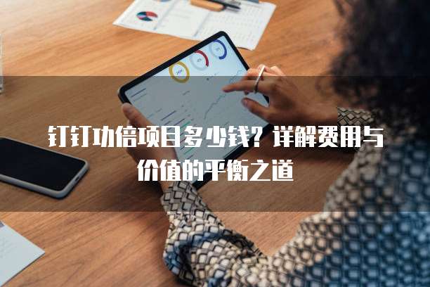 钉钉功倍项目多少钱?详解费用与价值的平衡之道