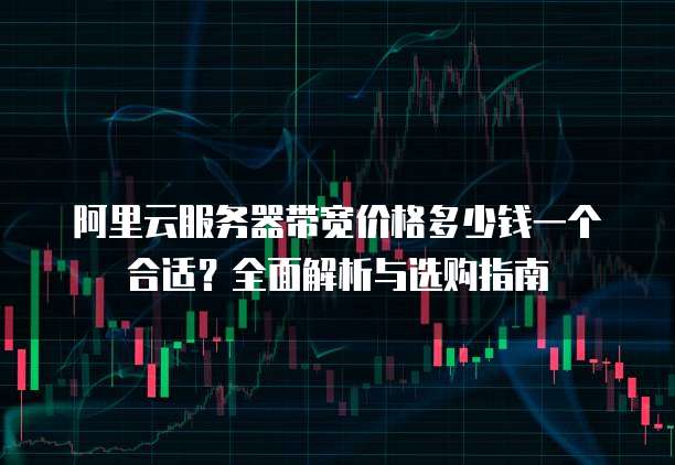 阿里云服务器带宽价格多少钱一个合适?全面解析与选购指南