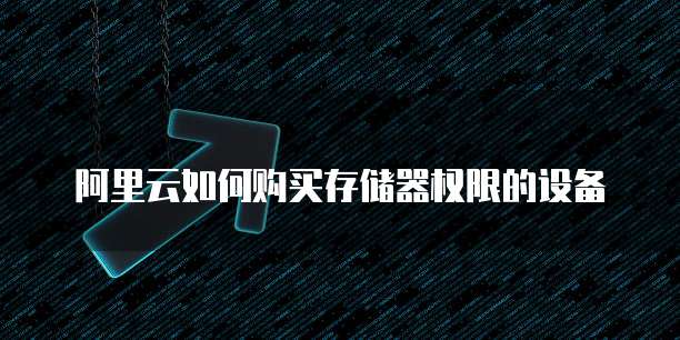 阿里云如何购买存储器权限的设备
