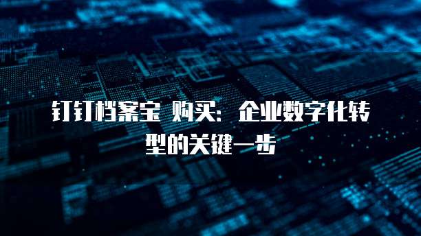 钉钉档案宝 购买:企业数字化转型的关键一步