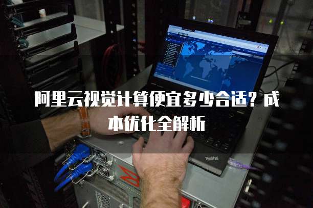 阿里云视觉计算便宜多少合适？成本优化全解析
